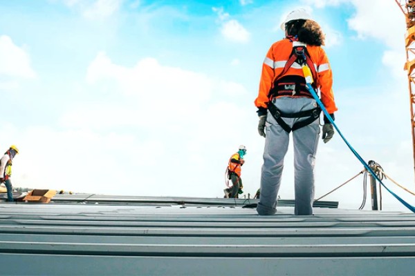 Panel sándwich para cerramientos ganaderos: aislamiento y ahorro todo el año