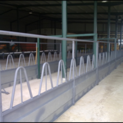 Cebadero de terneros