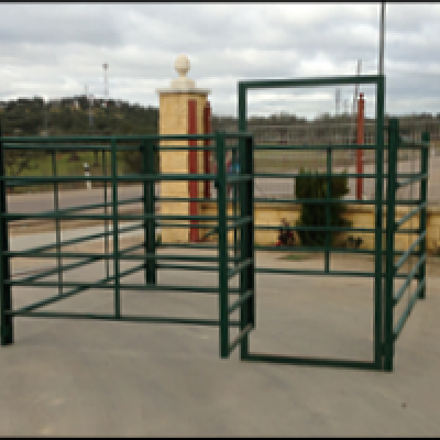 Cancilla verde con puerta abatible