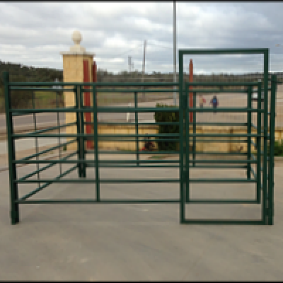 Cancilla verde con puerta abatible